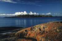 Lichen on island