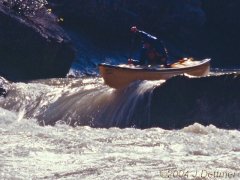 ProdigyX, click to enlarge!