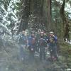 Braden Fandrich, Chris Mennel, Shayne Vollmers, and Steve Rogers standing next to a giant Cedar.
